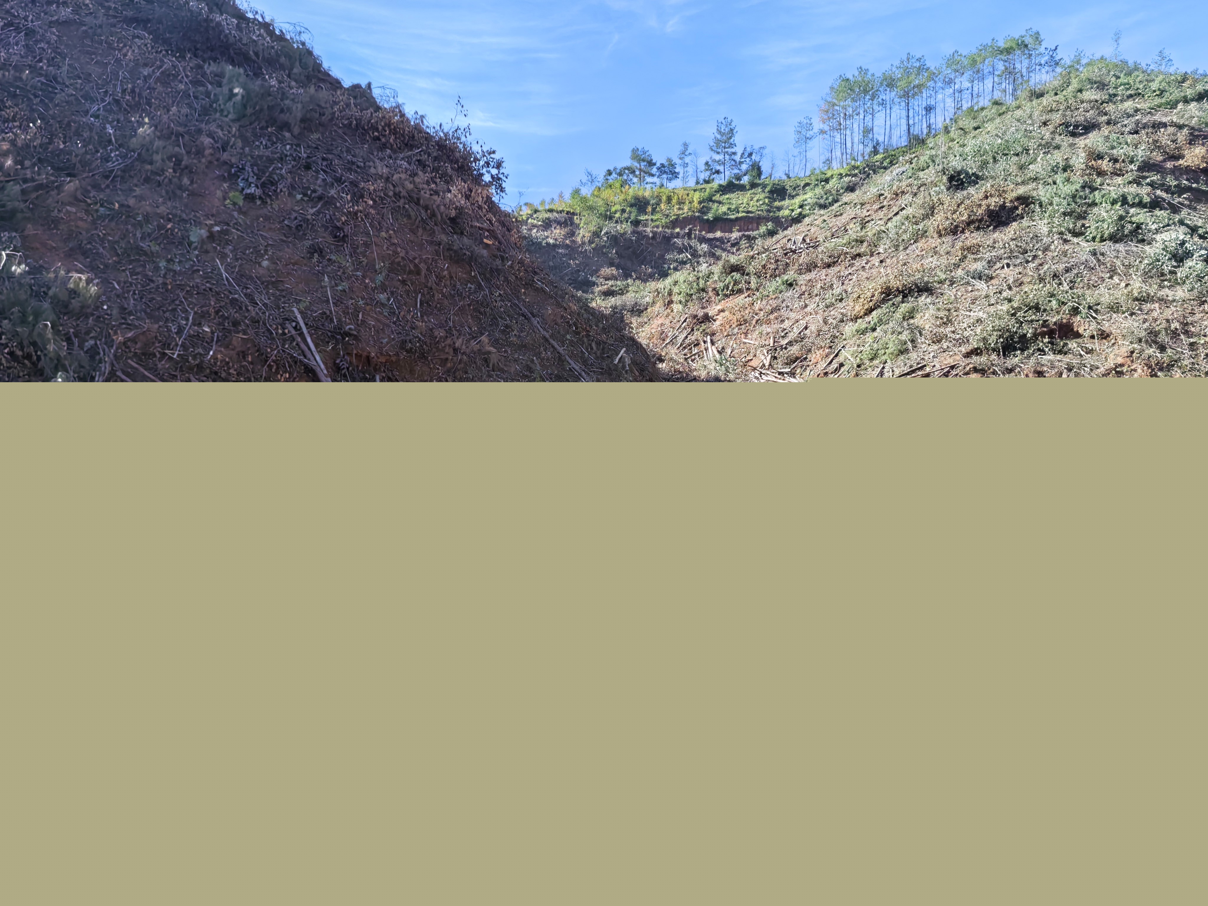 平安常青，我們在行動——常青分公司開展安全生產日活動