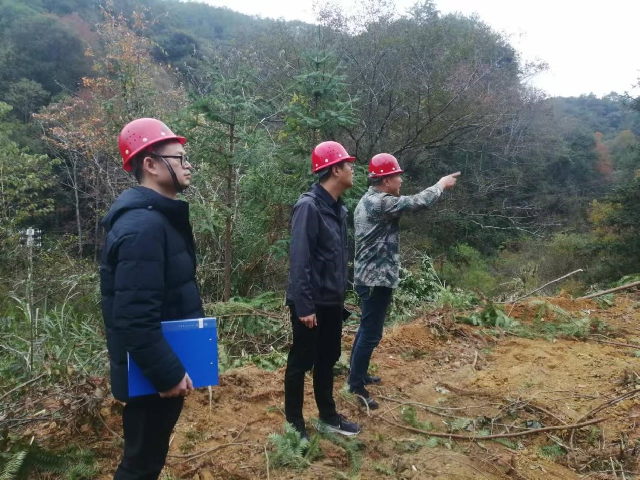 全面強化安全責任，嚴守森林防火線——福建金森全力保障生產安全