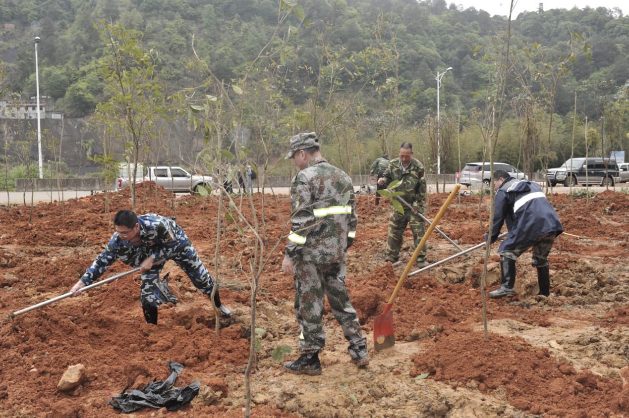 陽春三月雨,正是植樹好時節(jié) 陽春三月雨,正是植樹好時節(jié)