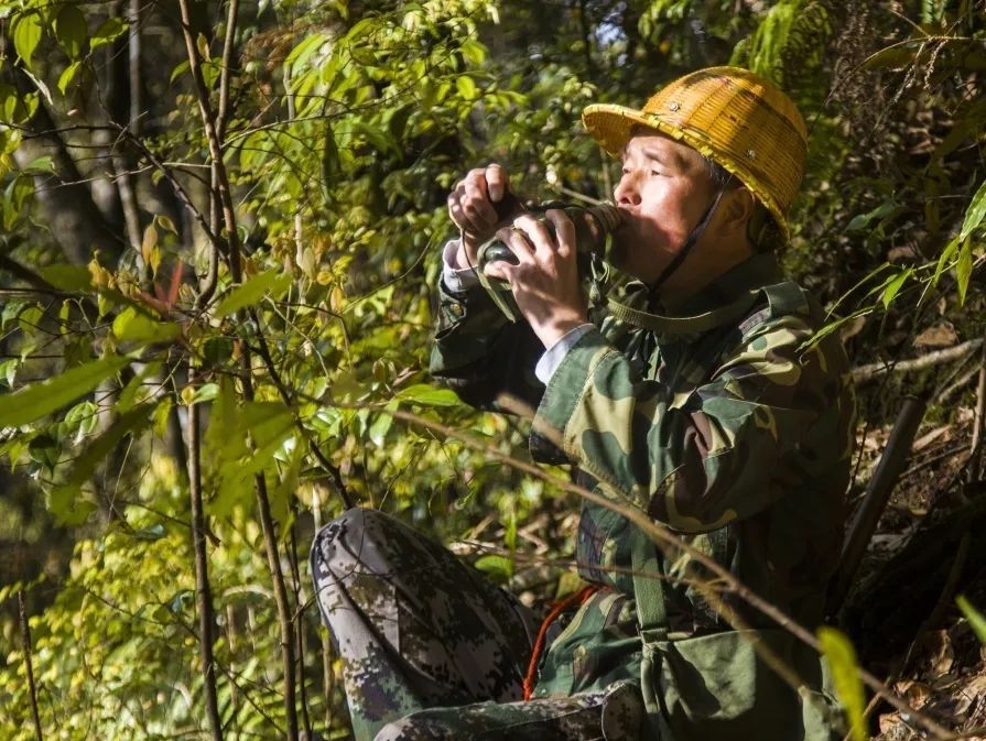 【金森榜樣】護林員邱玉祥的一天:想一輩子與青山相伴 【金森榜樣】護林員邱玉祥的一天:想一輩子與青山相伴