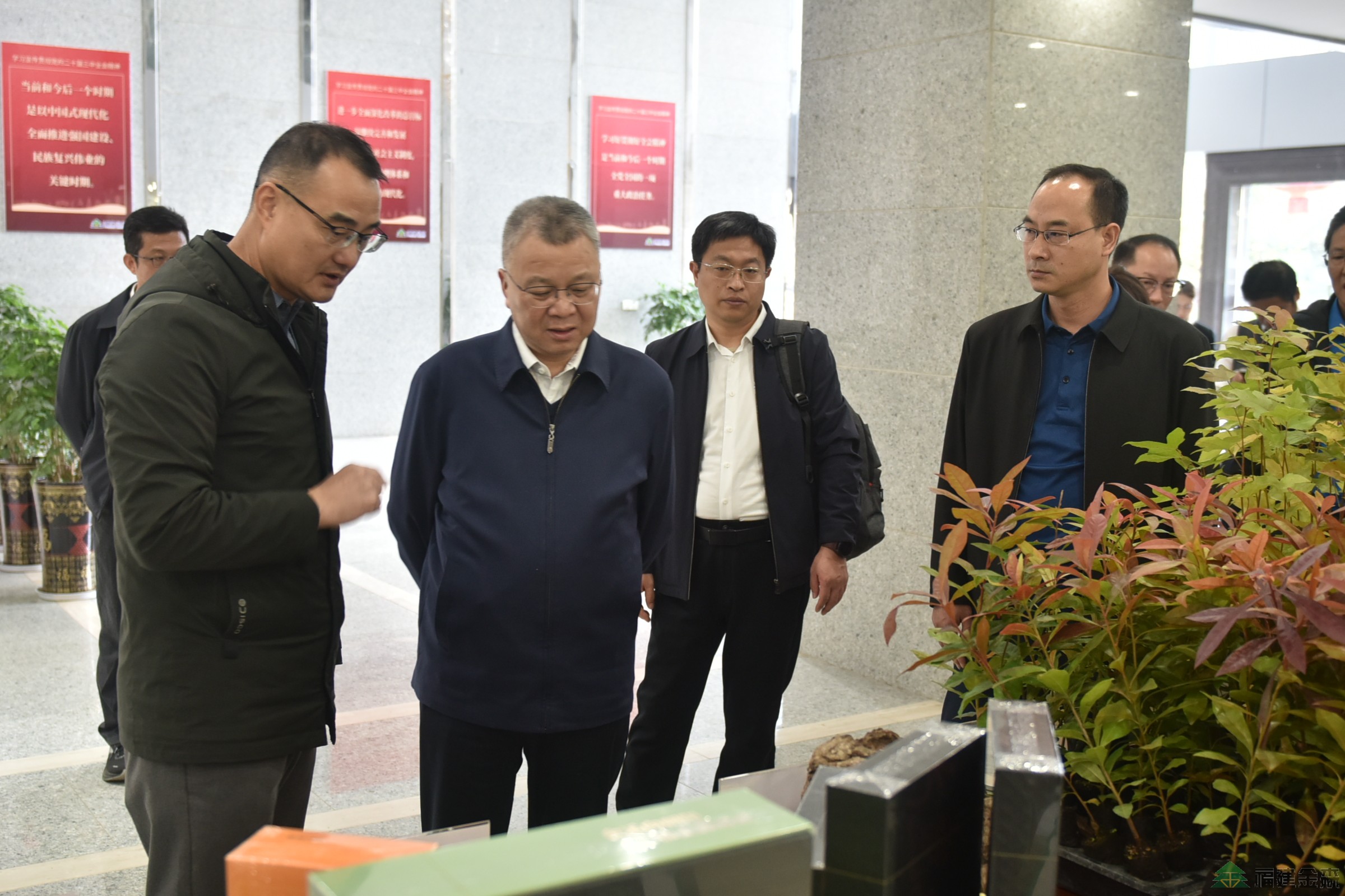 南京林業(yè)大學(xué)至福建金森調(diào)研 南京林業(yè)大學(xué)至福建金森調(diào)研